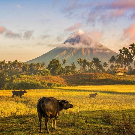 Reddoorz @ Arimbay Legazpi City Экстерьер фото